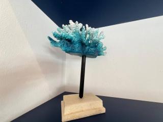 AD-301 Ático Duplex Estrella Dominicus - 4