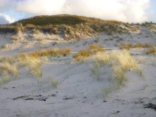 XSPOT Cliff House apartment, secluded 4WD location - 1