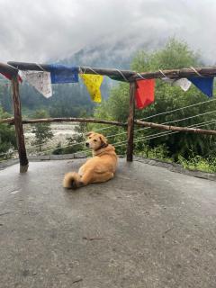 Soham Villa - Manali - 5