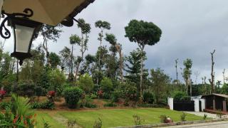 Coffeeshire farm - Mudigere - 8
