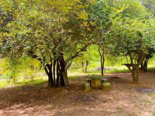 Hotel A4 Yala - Tissamaharama - 7