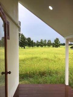 Tiny house homestay & cafe T1 - - 3