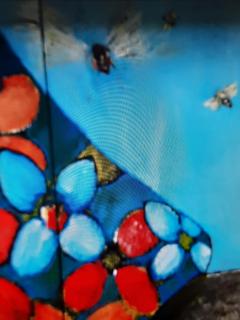 Beale - Todtmoos - 1