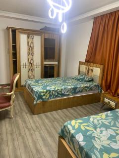 شقة مفروشة - 2