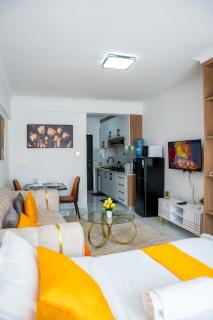 Elegant Studio Kilimani - Nairobi - 7