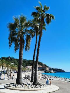 Studio au coeur du centre ville de Nice - 9