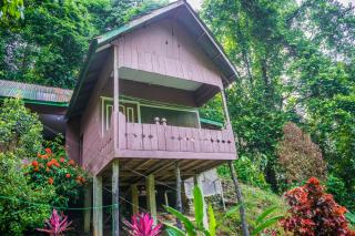 Pak Mus Guest House Ketambe - 0813-7072-1793 - Kutacane - 5