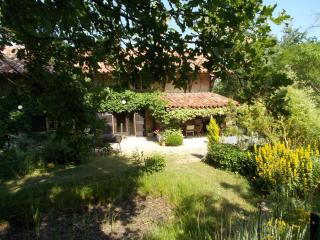 La Cassinette - Romenay - 8