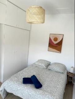 Le Borel I - Castres - 1