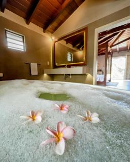 Lakaz Kannell - Cinnamon Room- Luxury Bedroom and Bathroom infinity pool - Cap Malheureux - 8