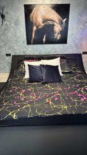 Ferienwohnung SPA Delluxe Essen - - 3