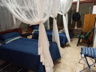 Kunene River Lodge - 1