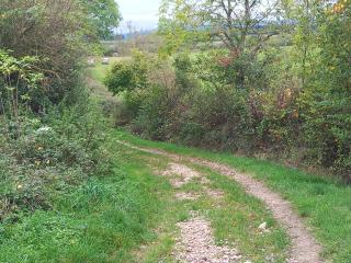 Gite la Tourterelle en Auvergne - Champs - 1