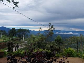 Green Leaves Holiday Home - 5