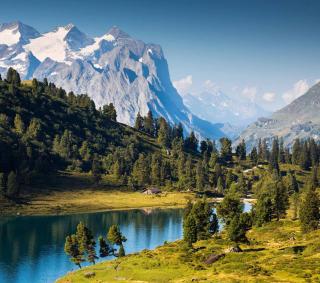My Chalet - Meiringen - 5