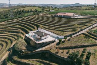 Feel Discovery Quinta do Muro Douro Valley - Peso da Régua - 9