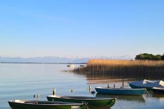 Schönes Terrassen-Appartement - Schondorf am Ammersee - 6