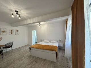 Axon Apartments - Oradea - 0