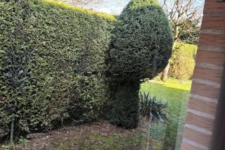 Zentrale Messewohnung im wunderschönen Vorort - 5