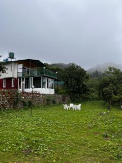 Bougainvilla Mountain Retreat - Bhimtal - 4