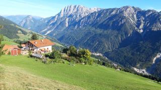 Binderhof - Assling - 9