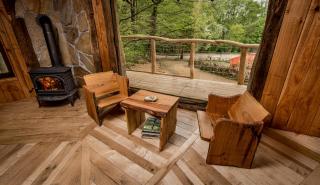 Baumhaushotel Robins Nest - Witzenhausen - 6