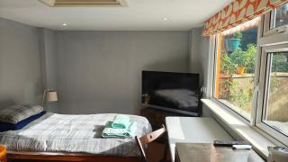 Aller Park, Newton Abbot - Newton Abbot - 6