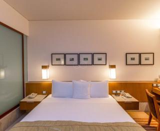 Hotel PLAZA International near Delhi airport - New Delhi - 2