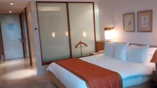 Hotel PLAZA International near Delhi airport - New Delhi - 3