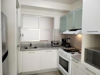 Blue Beach - Beautiful 2 BDR in Polanco - Città del Messico - 1