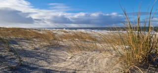 Vakantie-B'lankenberge The One - 3