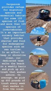 Bungalows Beach Key West Palm - 9