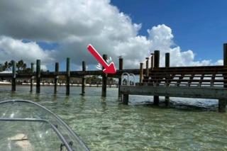 Bungalows Beach Key West Palm - 1