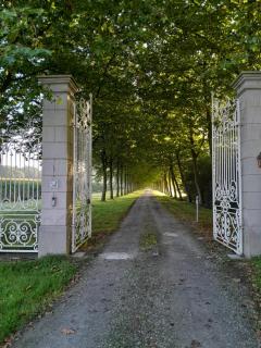 Hostellerie de Fontenaille - 8