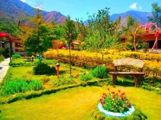 Olive Eco Village Hotel - 7