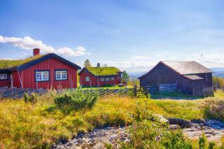 Old cabin vibe, perfect for families or couples - Beitostøl - 0