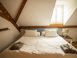 Moderne Altbauwohnung im Zentrum von Bern mit Wellness - Bern - 8