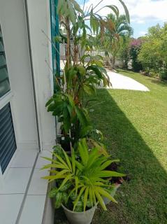 Appartement Masoti - Le Gosier - 6