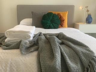 Stellar Suite - 8