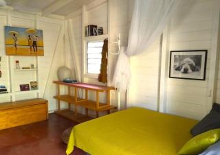 bungalow papaya - Saint-Louis - 3
