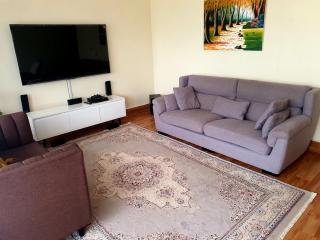 Rosslyn Hill One Bedroom Apartment - Nairobi - 2