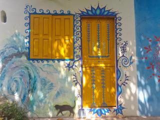 Hostel na floresta com saída ao igarapé - Medicina, Consciência e espiritualidade -Espaço Caminho das pedras - Alter do Chão - 3