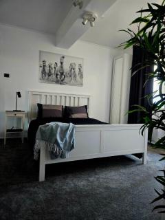 Home Studio Cismigiu - Bucharest - 0