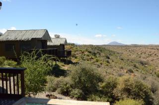 Zandfontein Bush Camp and Game Farm - Platdrift - 6