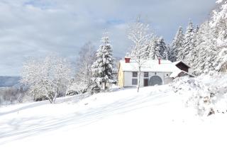 Charmante vieille ferme du Grand Père Prosper proche Gérardmer - Liézey - 9