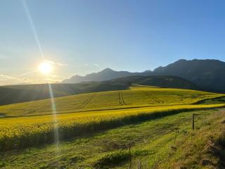 Kromrivier Farm Accommodation - 4