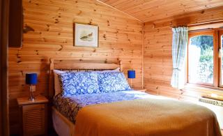 Secluded Pine Lodge 2 - Wigton - 2