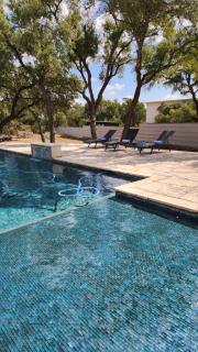 Huge Pool in SW Austin on 2 Acres - Austin - 7