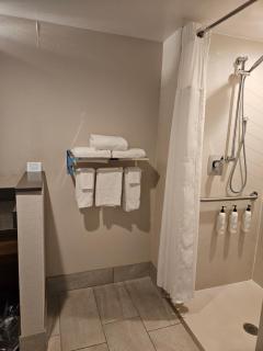 Fairfield Inn & Suites by Marriott Athens - Athens - 9