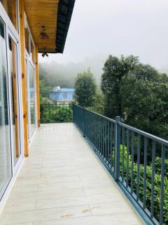 Birds Eye - Bhimtal - 9